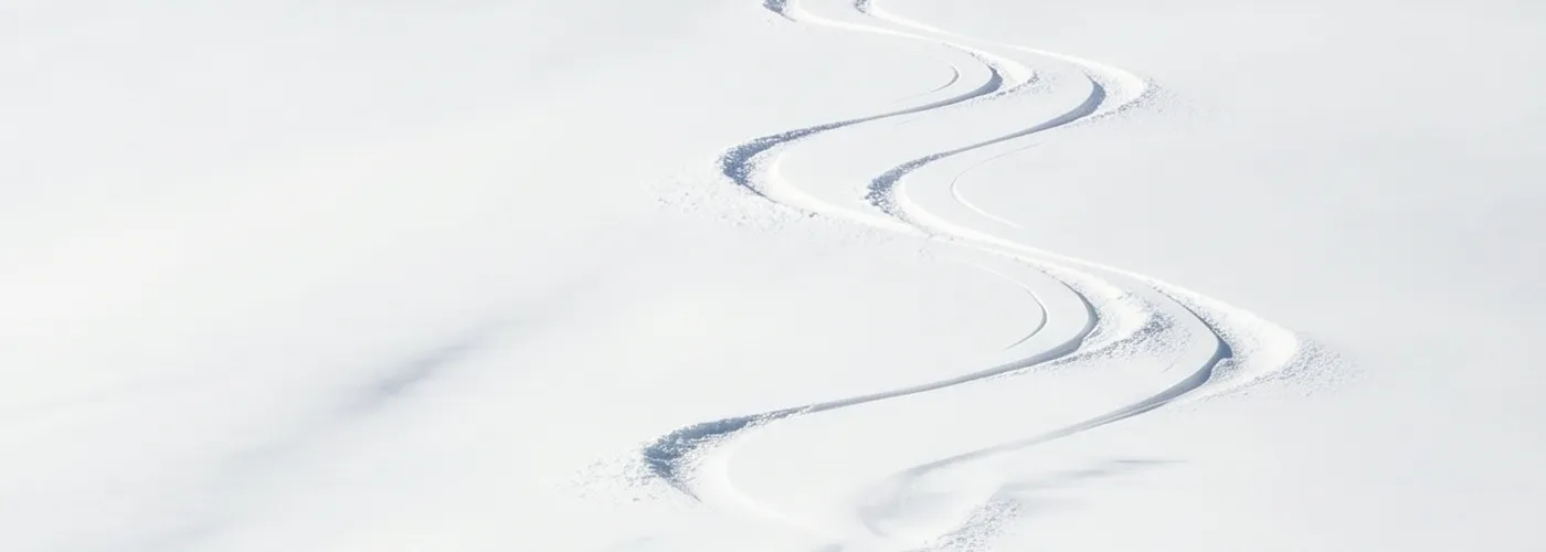 Paysage de montagne enneigé