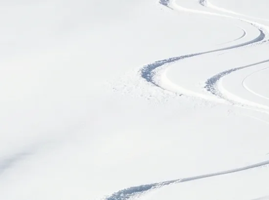 Paysage de montagne enneigé