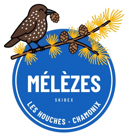 Mélèzes